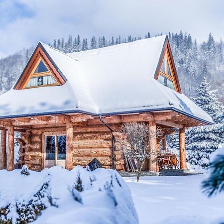 Chalet Wioska Jagny ポロニン エクステリア 写真