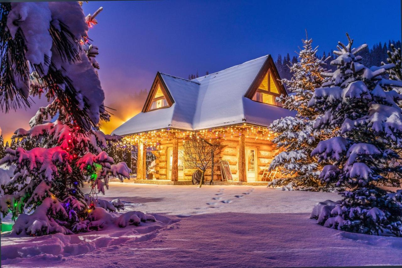 Chalet Wioska Jagny ポロニン エクステリア 写真