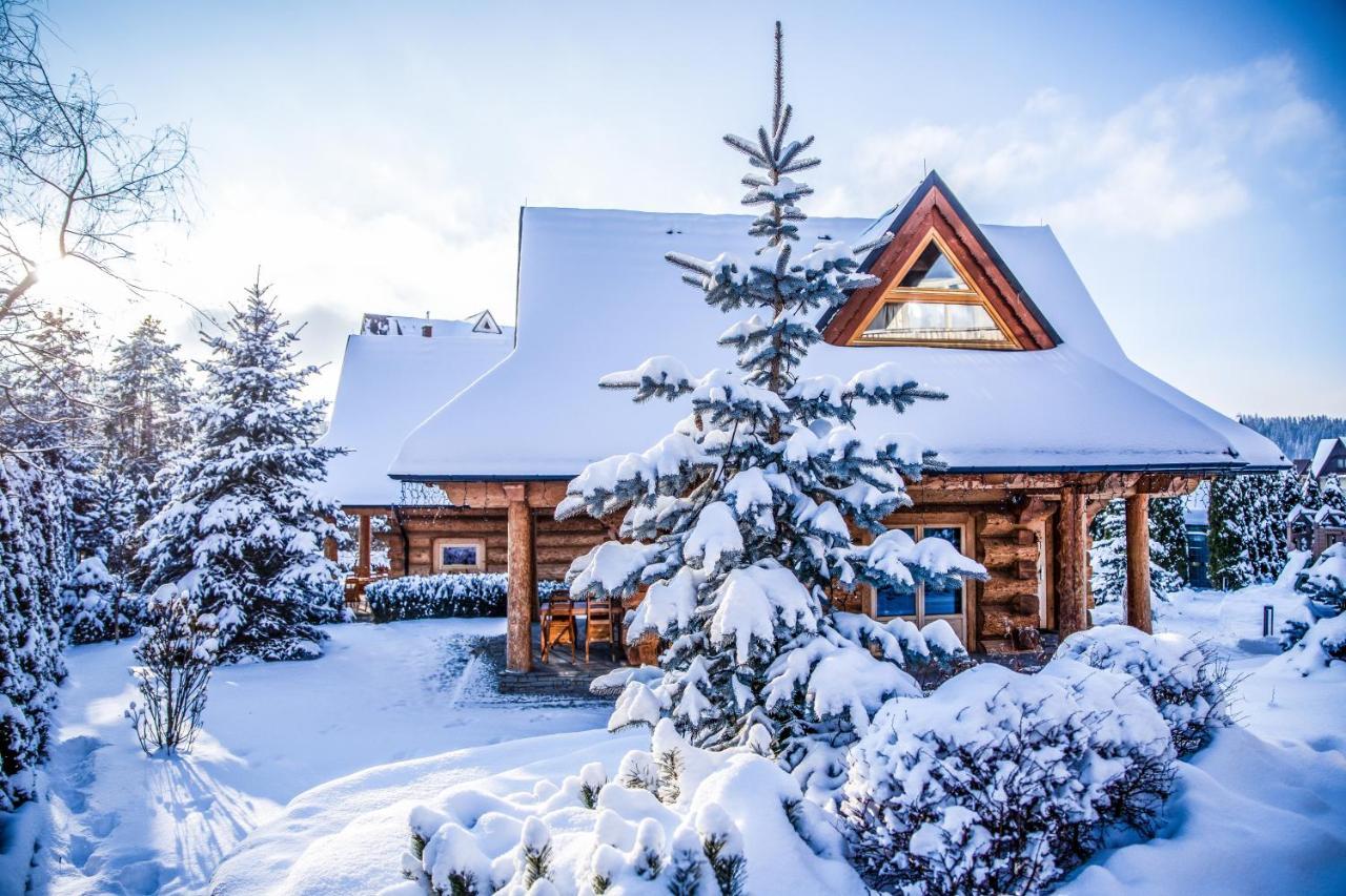 Chalet Wioska Jagny ポロニン エクステリア 写真